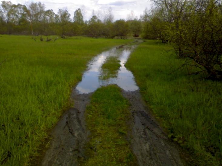 Вища Дубечня з panoramio.com - Высшая Дубечня