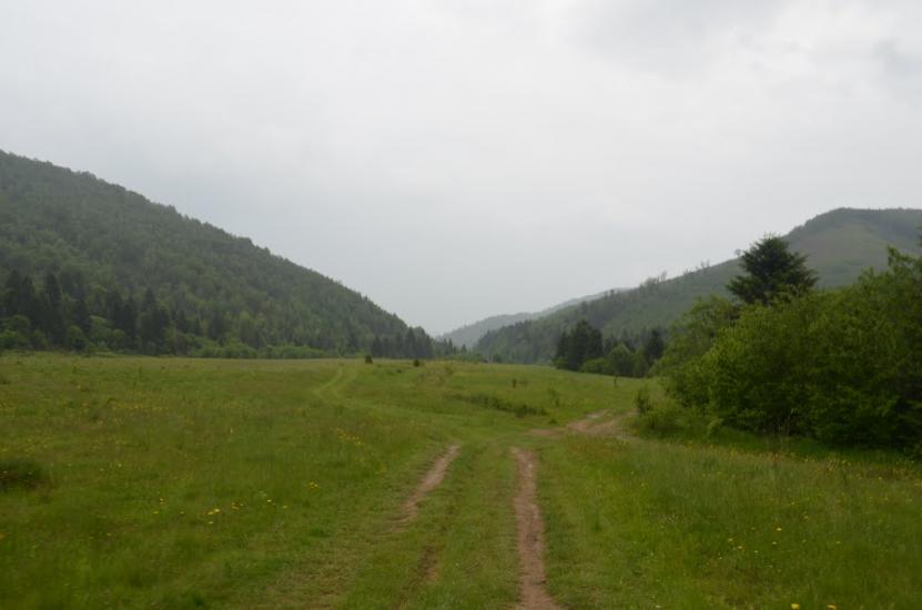 Крушельниця з panoramio.com - Крушельница