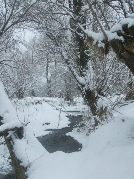 Тернавка з panoramio.com - Тернавка