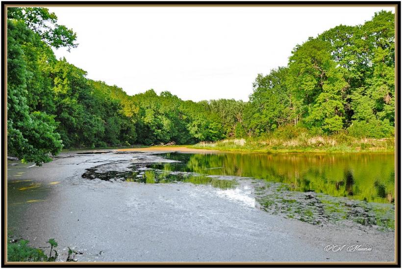 Шипилівка з panoramio.com - Shypylivka