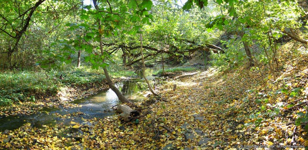 Комісарівка з panoramio.com - Комиссаровка