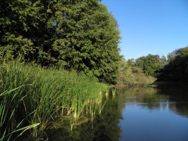 Єньків з panoramio.com - Еньков