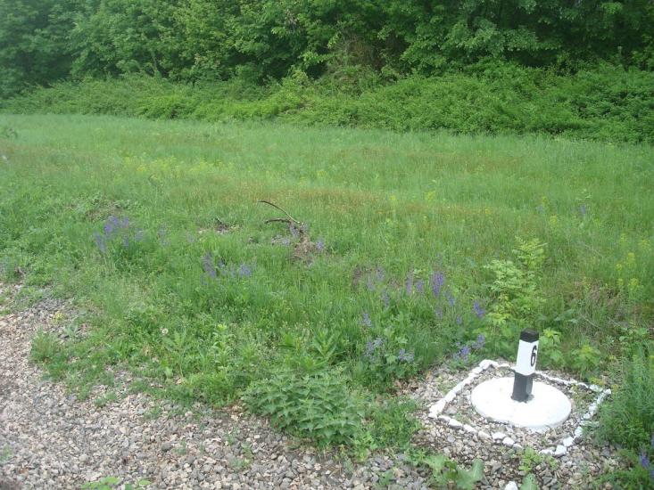 Харитонівка з panoramio.com - Харитонівка