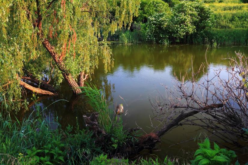 Скельки з panoramio.com - Скельки