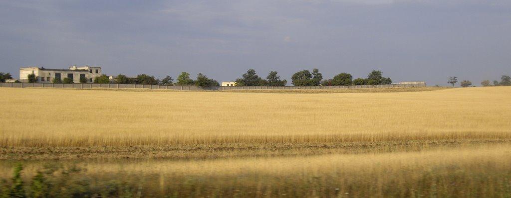 Кубанське з panoramio.com - Кубанське