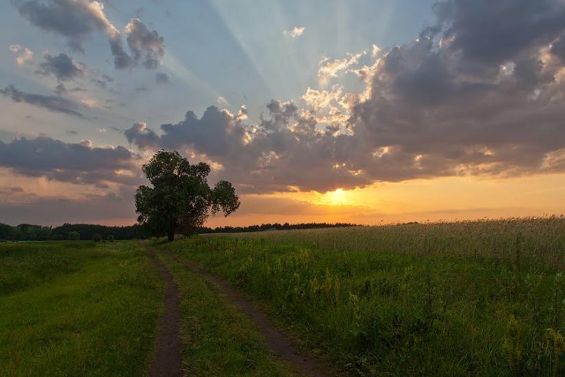 Кривуші з panoramio.com - Кривуши