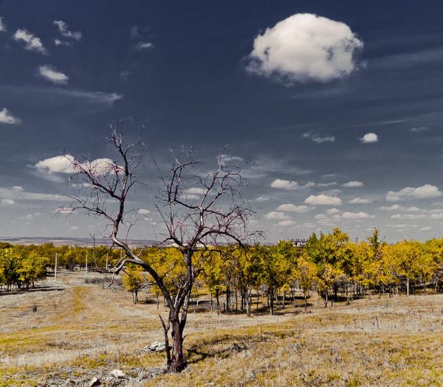 Алмазна з panoramio.com - Almazna