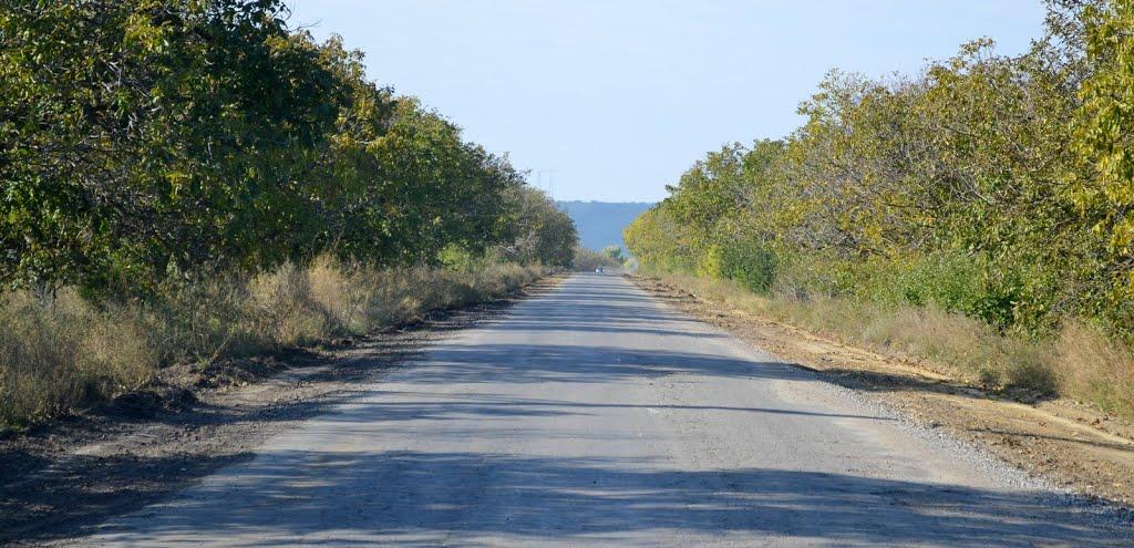 Розалівка з panoramio.com - Розаловка