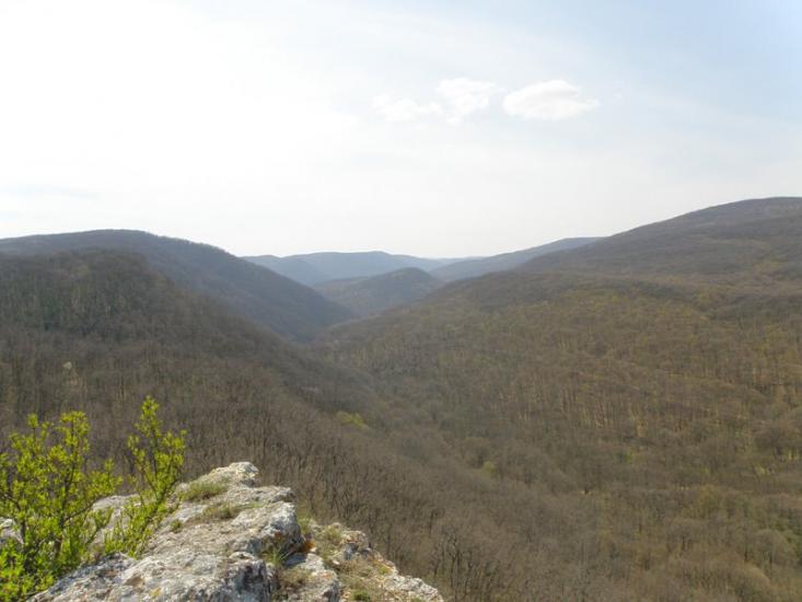 Овражки з panoramio.com - Овражки