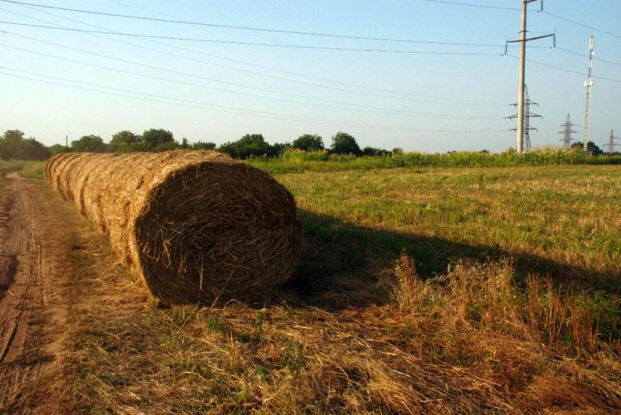 Гора з panoramio.com - Гора