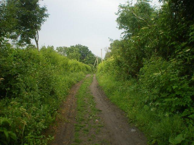 Черепашинці з panoramio.com - Cherepashyntsi