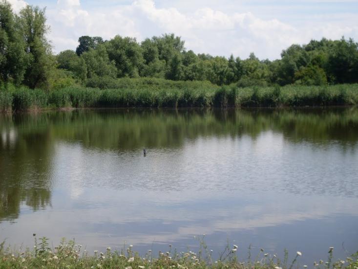 Жерденівка з panoramio.com - Жерденівка