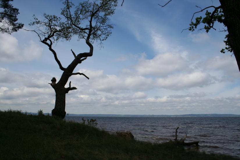 Циблі з panoramio.com - Tsybli