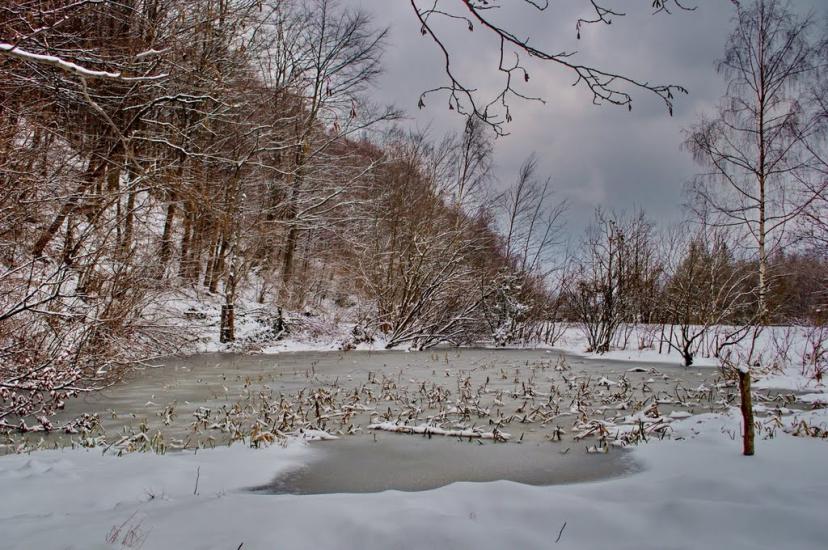 Гриньків з panoramio.com - Гриньків