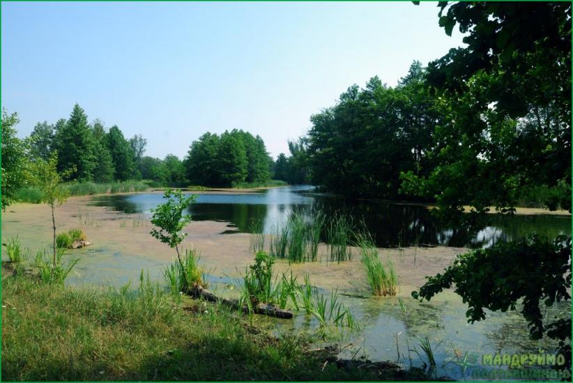 Яблучне з panoramio.com - Яблучне