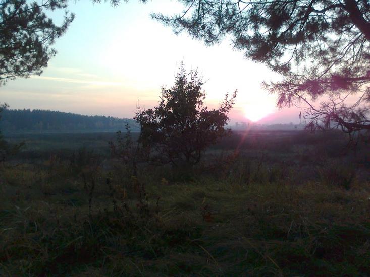 Русанів з panoramio.com - Русанів