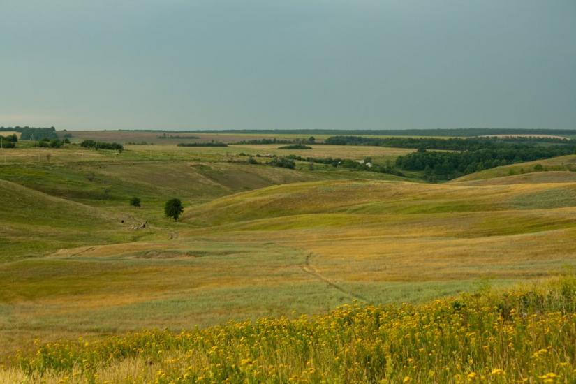Таранівка з panoramio.com - Тарановка