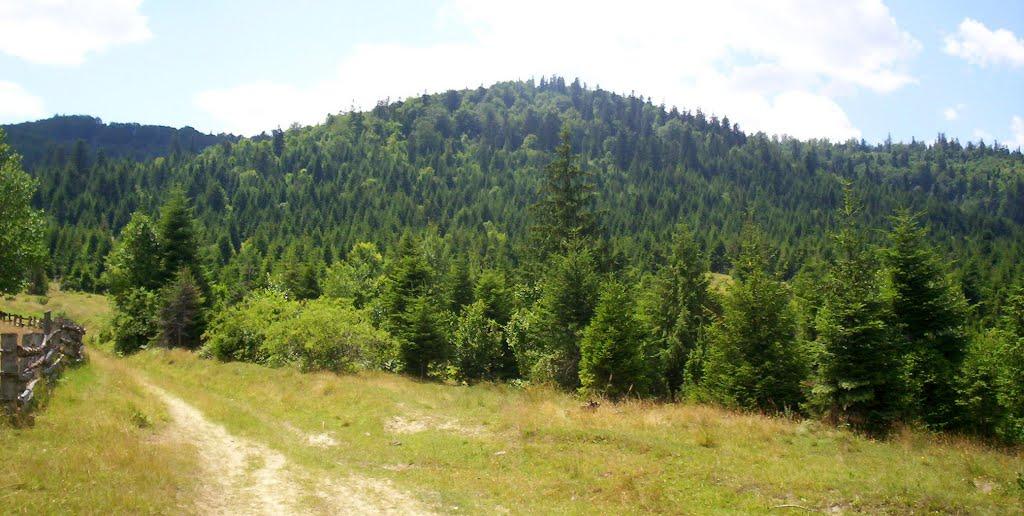 Труханів з panoramio.com - Trukhaniv