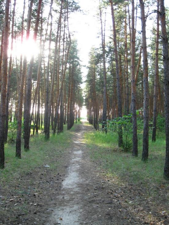 Пурдівка з panoramio.com - Пурдовка