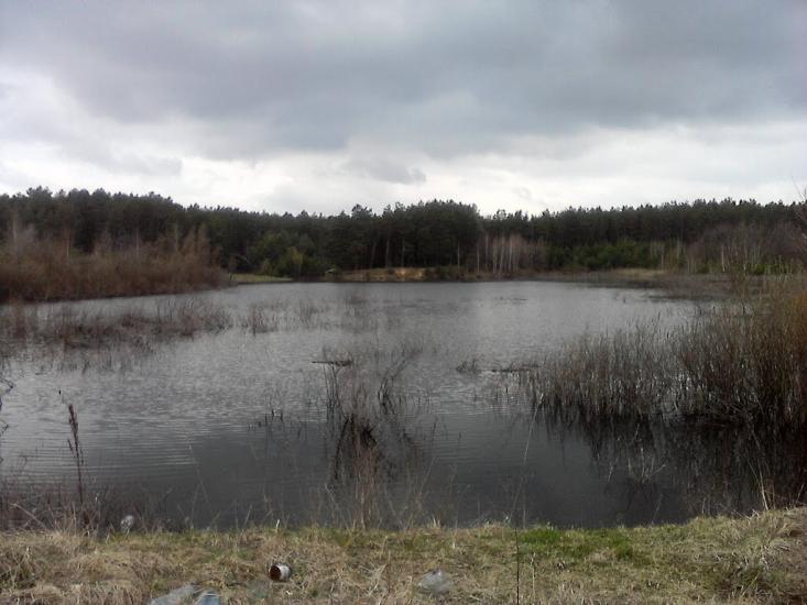 Халявин з panoramio.com - Халявин
