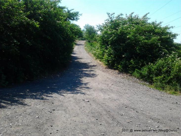 Селезнівка з panoramio.com - Селезневка