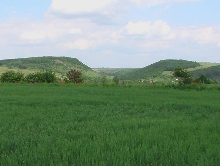 Карачківці з panoramio.com - Карачковцы