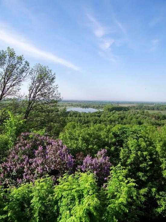 Путивль з panoramio.com - Путивль
