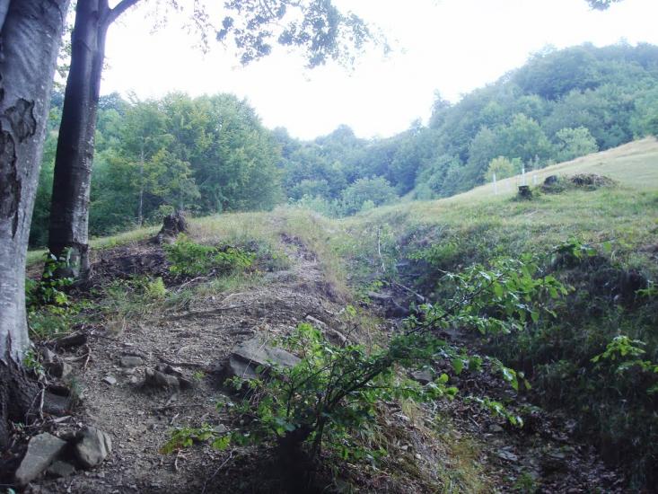 Красна з panoramio.com - Krasna
