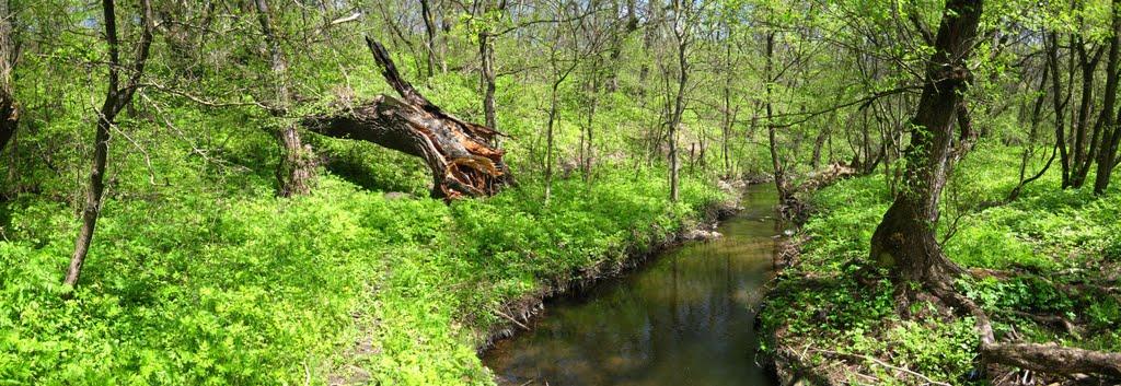 Комісарівка з panoramio.com - Комиссаровка