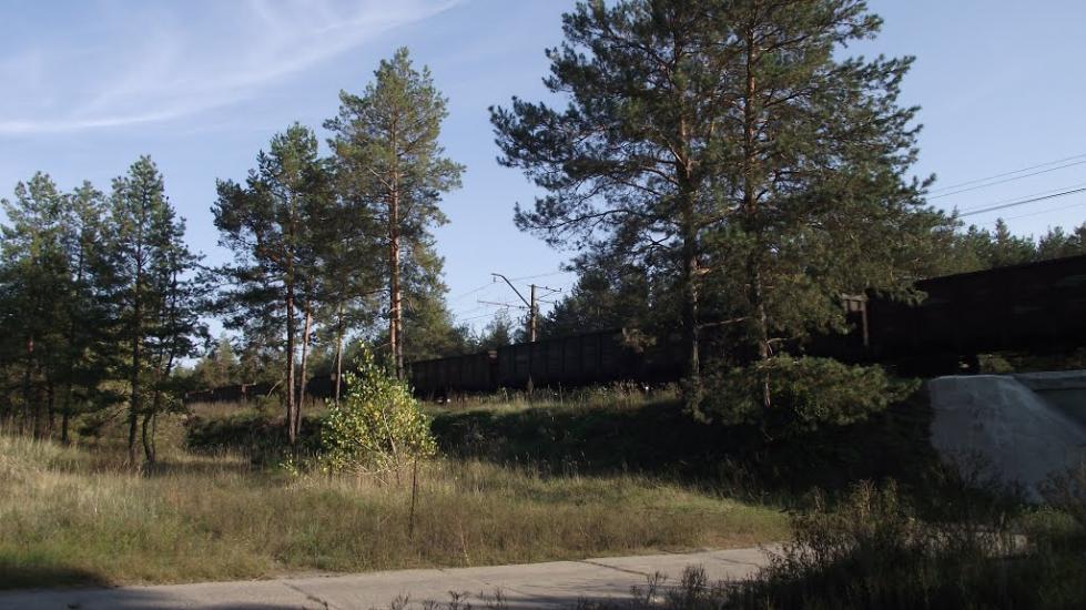Ярова з panoramio.com - Яровая