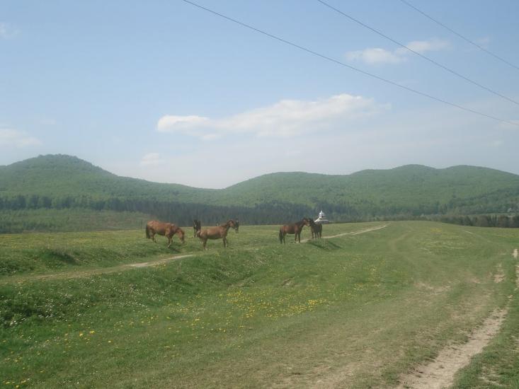 Люча з panoramio.com - Lyucha