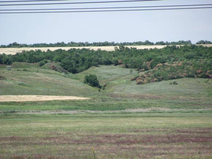 Мар'ївка з panoramio.com - Мар'ївка