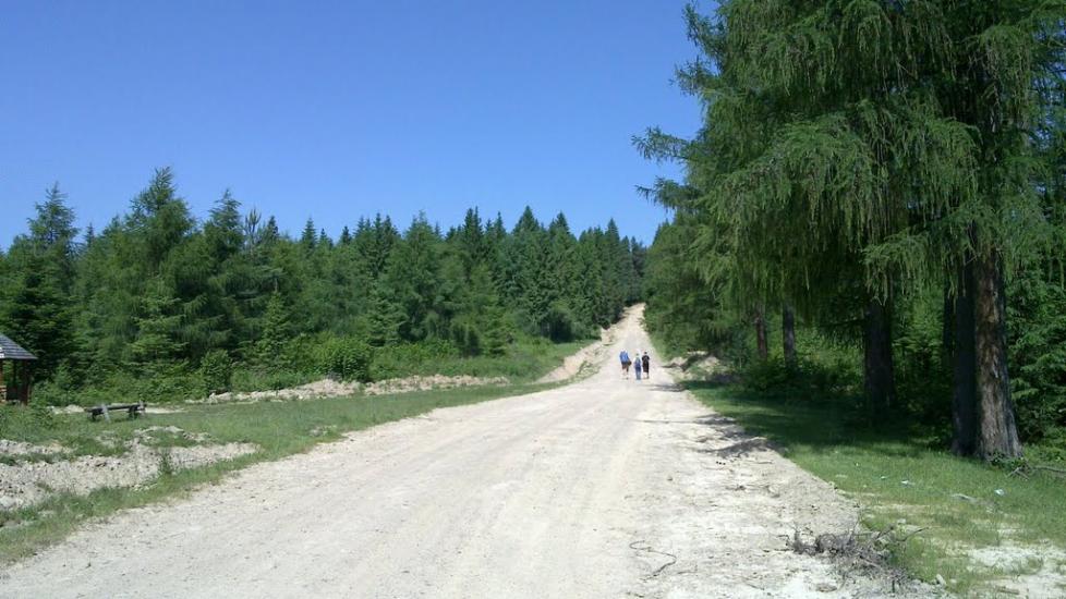 Поляниця з panoramio.com - Поляница