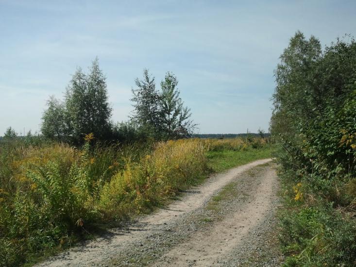 Торф'яне з panoramio.com - Торфяное