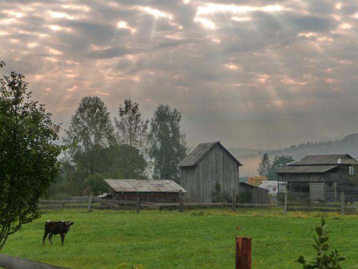 Ільці з panoramio.com - Ильцы