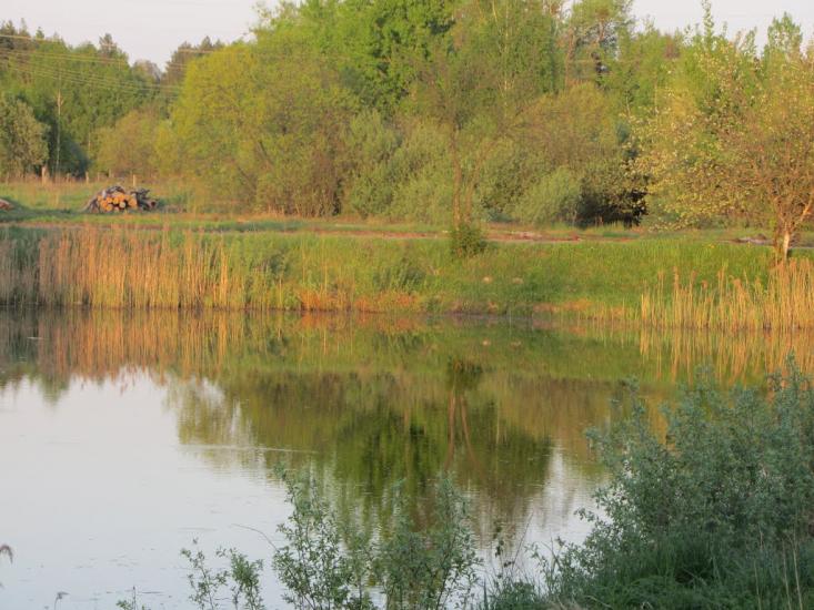 Станційне з panoramio.com - Станционное