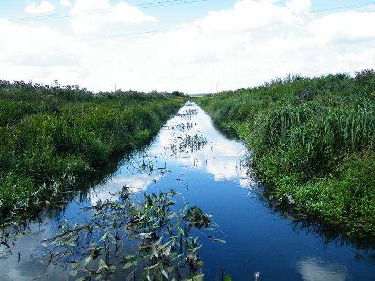 Горохів з panoramio.com - Горохов