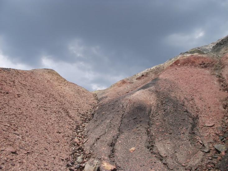 Звірове з panoramio.com - Звірове
