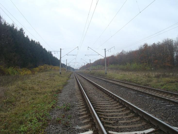 Зелена з panoramio.com - Зелена