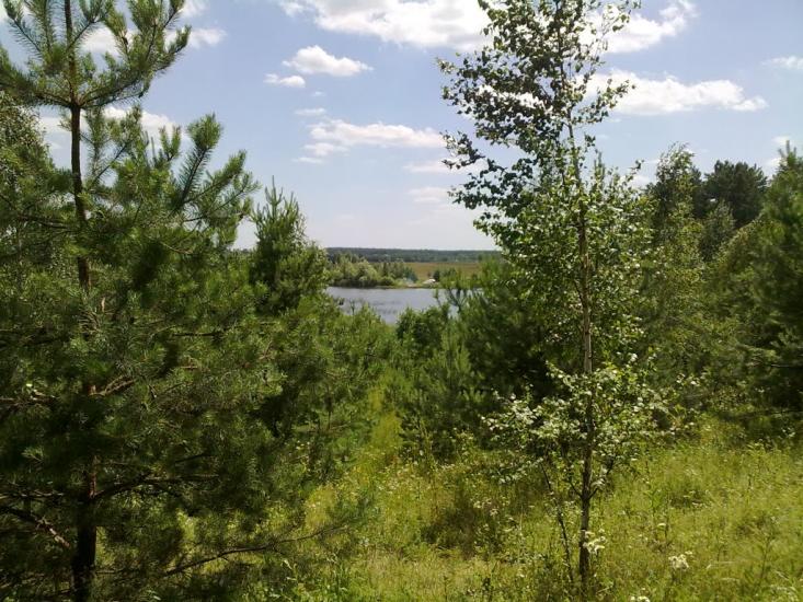 Халявин з panoramio.com - Халявин