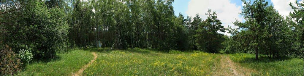 Іванковичі з panoramio.com - Иванковичи