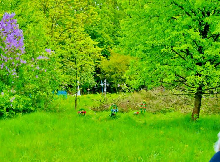 Козацьке з panoramio.com - Казацкое