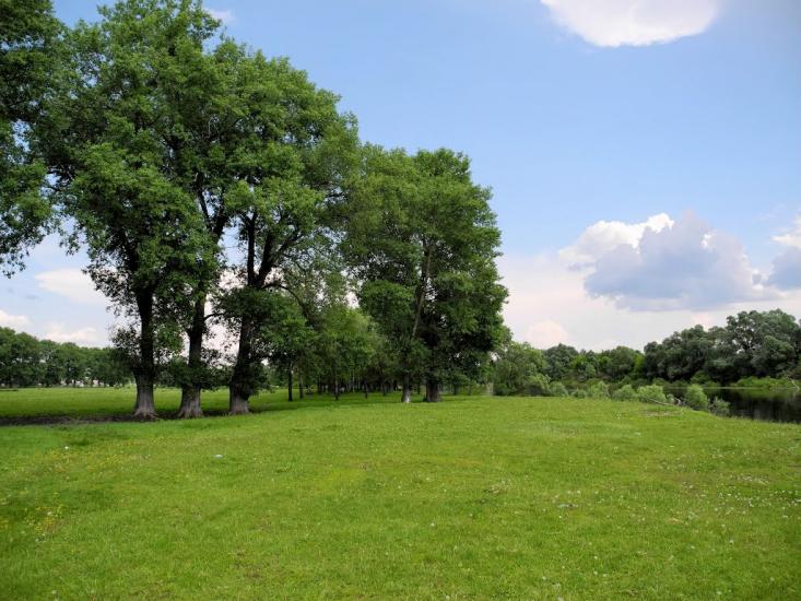 Мутин з panoramio.com - Mutyn