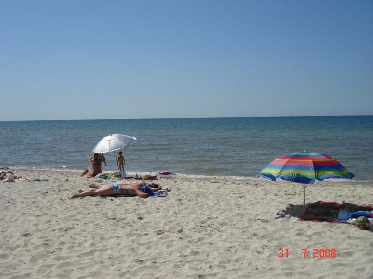Більшовик з panoramio.com - Большевик