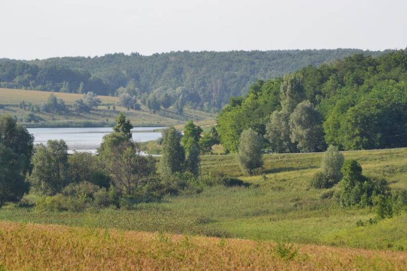 Грабовське з panoramio.com - Грабовское