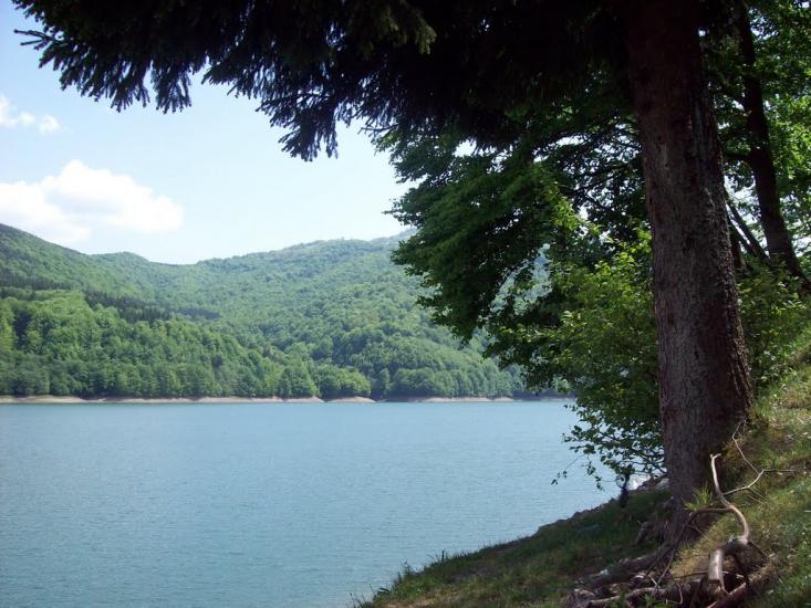 Мерешор з panoramio.com - Мерешор