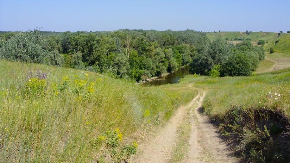 Приліпка з panoramio.com - Прилипка