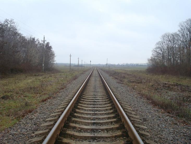 Воронківці з panoramio.com - Воронковцы