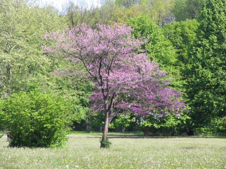 Городецьке з panoramio.com - Gorodetske