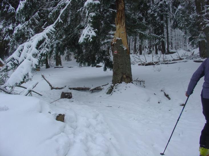 Усть-Чорна з panoramio.com - Усть-Чорна